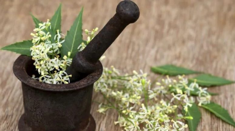 Medicinal Plant Use: Advancement and Challenges